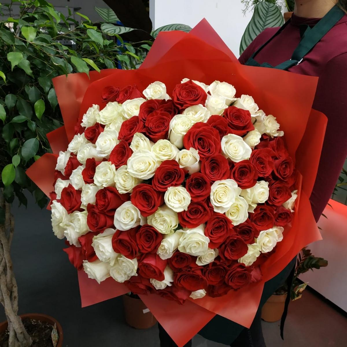 Букет из 101 розы (красные и белые розы) (Артикул: 90577tver)