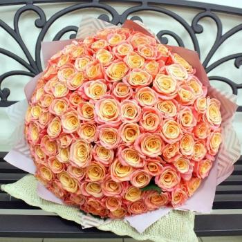 Букет Оранжевые розы Эквадор 101 шт (50 см) код  158258t
