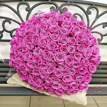 Розовые розы Эквадор 101 шт (50 см) (артикул букета  158152tv)